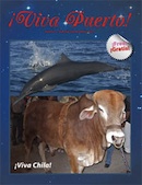 Viva Puerto Issue 2 cover