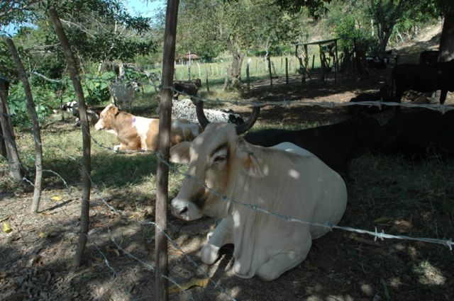 La Cañada, San Pedro Mixtepec