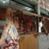 Fresh Meat