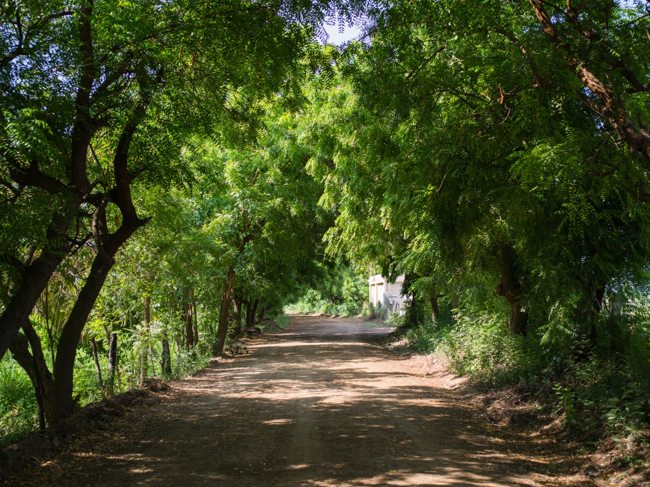 Neem, Barra de Colotepec