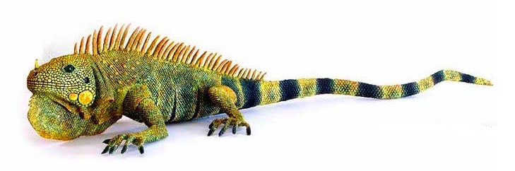 Jorge de Granda, Galería del Puerto