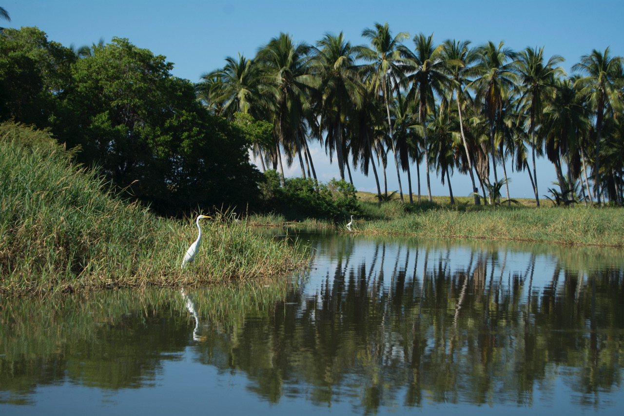 Manialtepec, Sand Bar