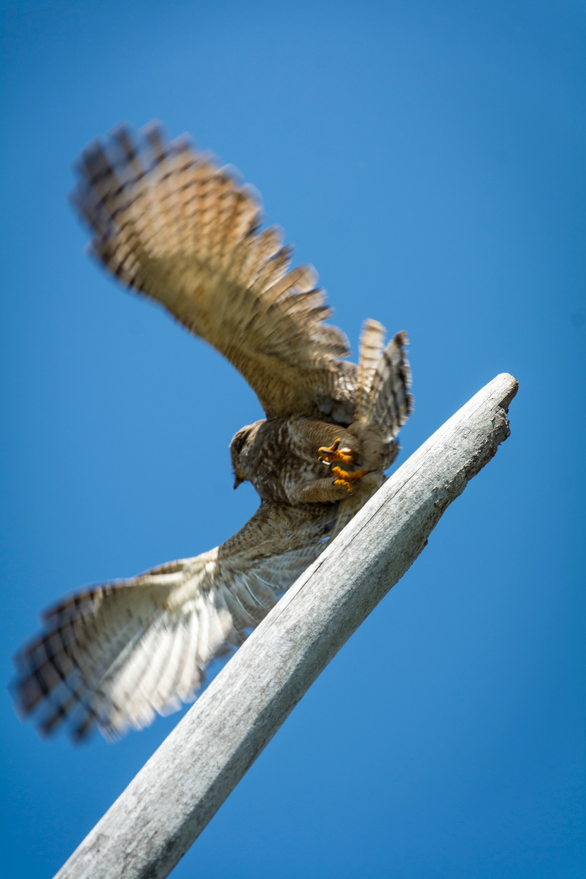 Photo: Ernesto J. Torres