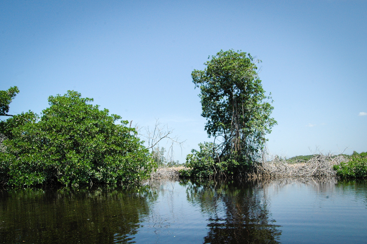 Photo: Barbara Joan Schaffer