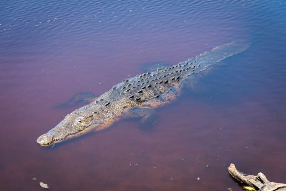 Photo: Ernesto J. Torres