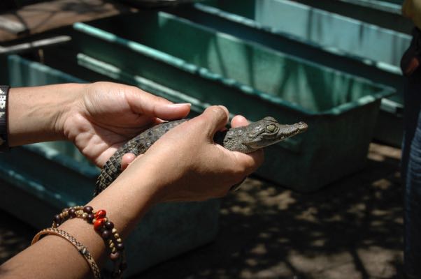Photo: Barbara Joan Schaffer