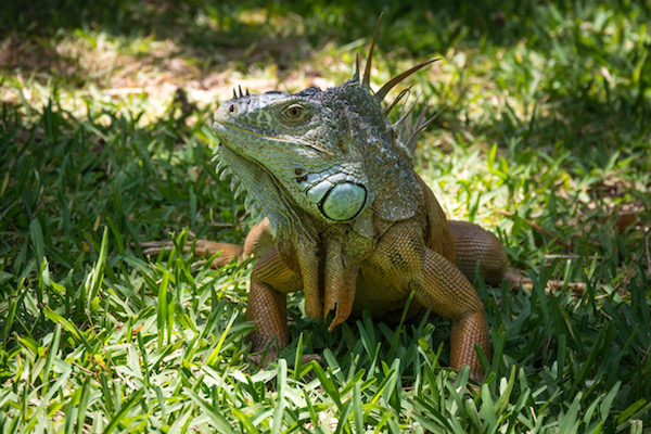 Photo: Ernesto J. Torres