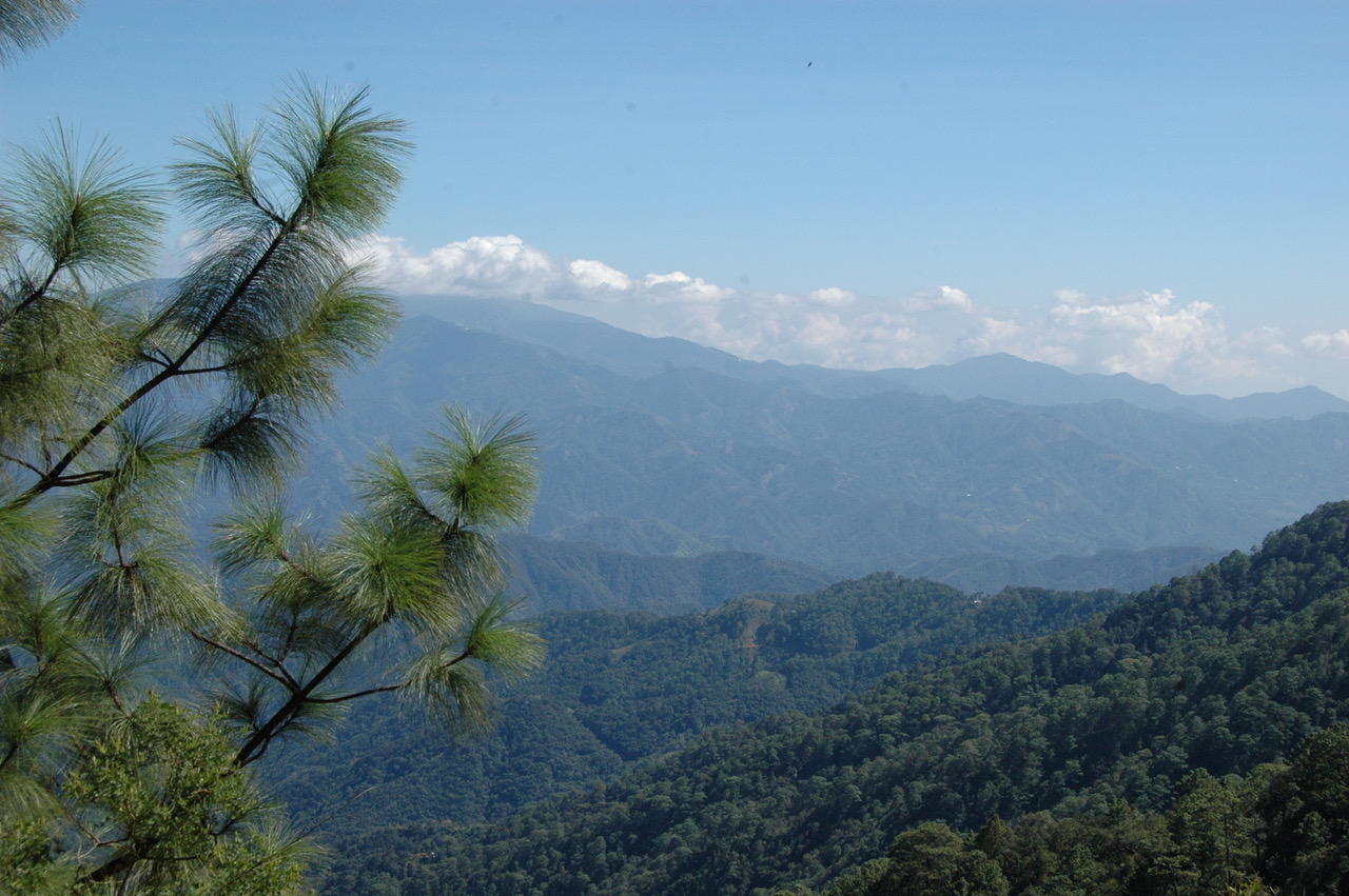 The Sierra Madre del Sur between Santa Catarina Loxicha and San Francisco Coatlán.