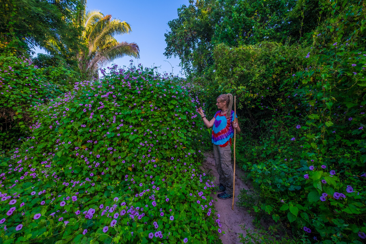 Monte Oscuro Waterfall