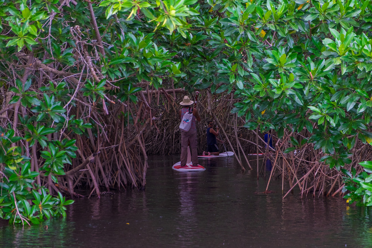 Surf con remo en Puerto Suelo
