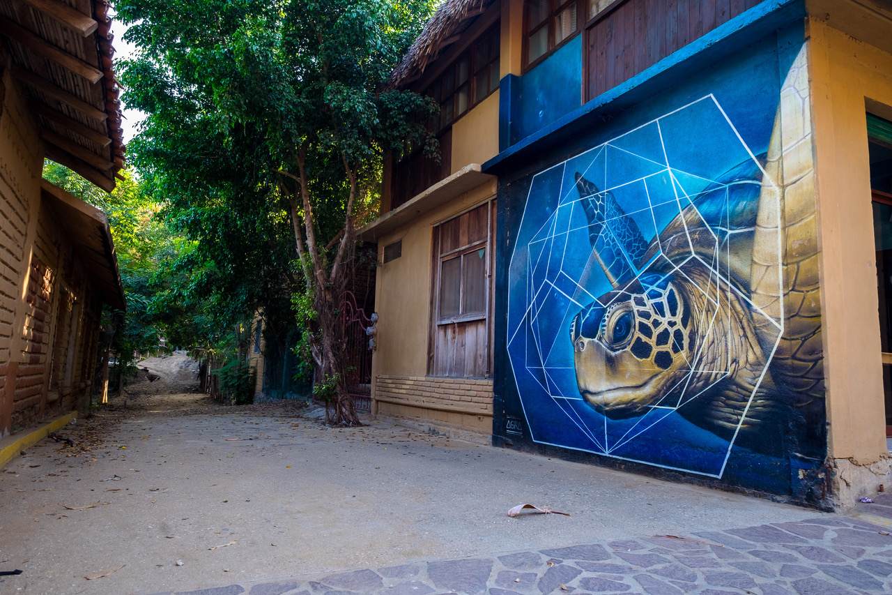 Things To Do on
a Day Trip to Mazunte