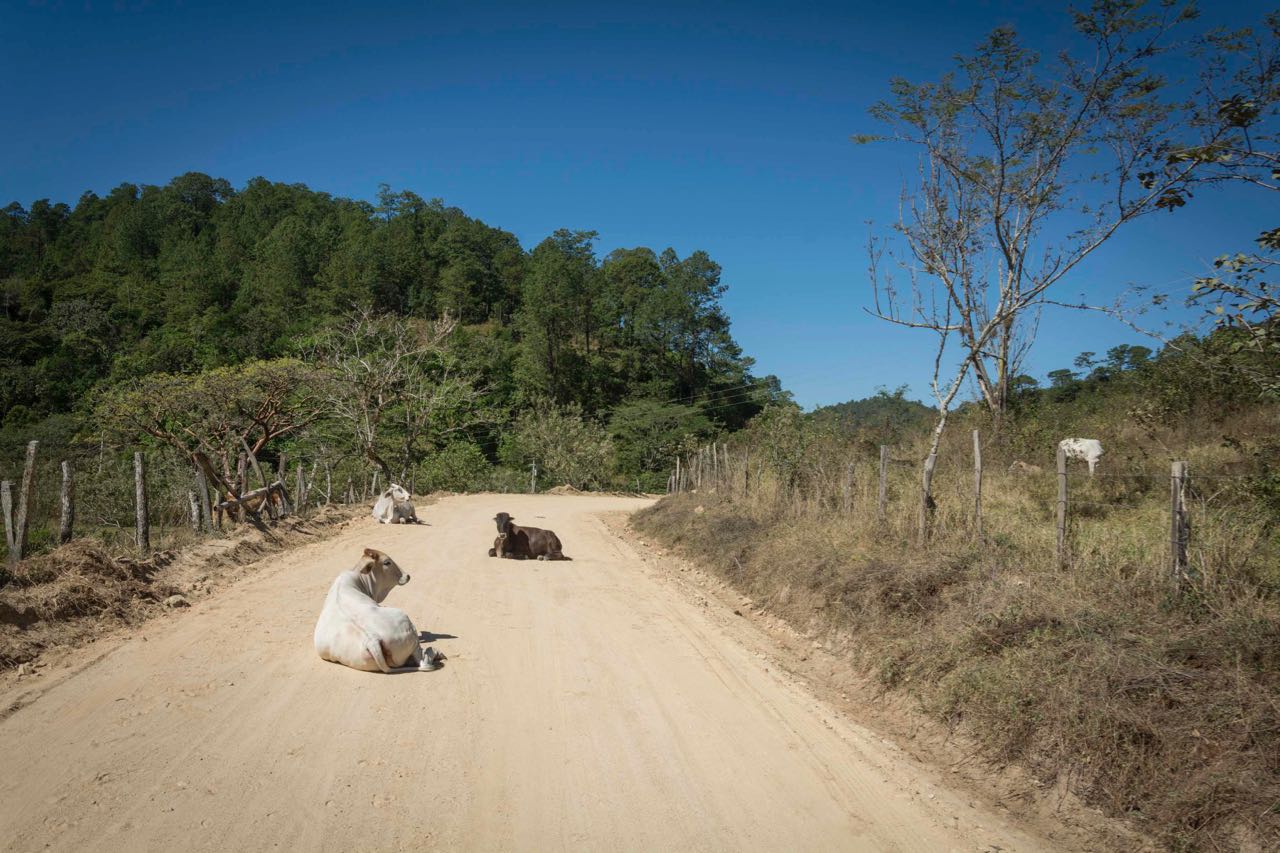 Road to San Jerónimo. Photo: Ernesto J. Torres