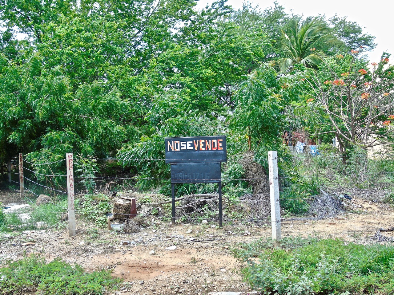 Not all the lots are for sale