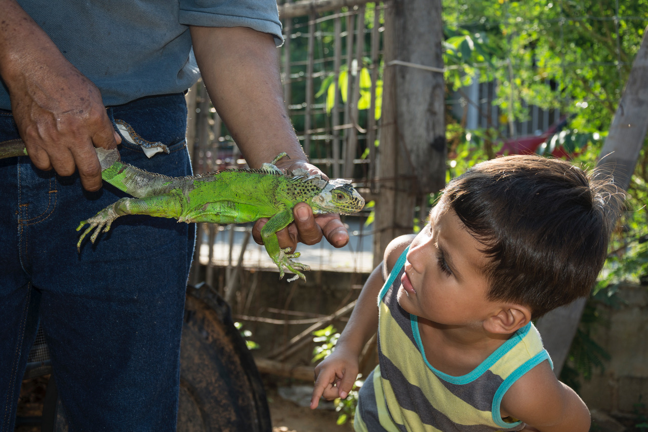 Dexter Sussman Ramírez