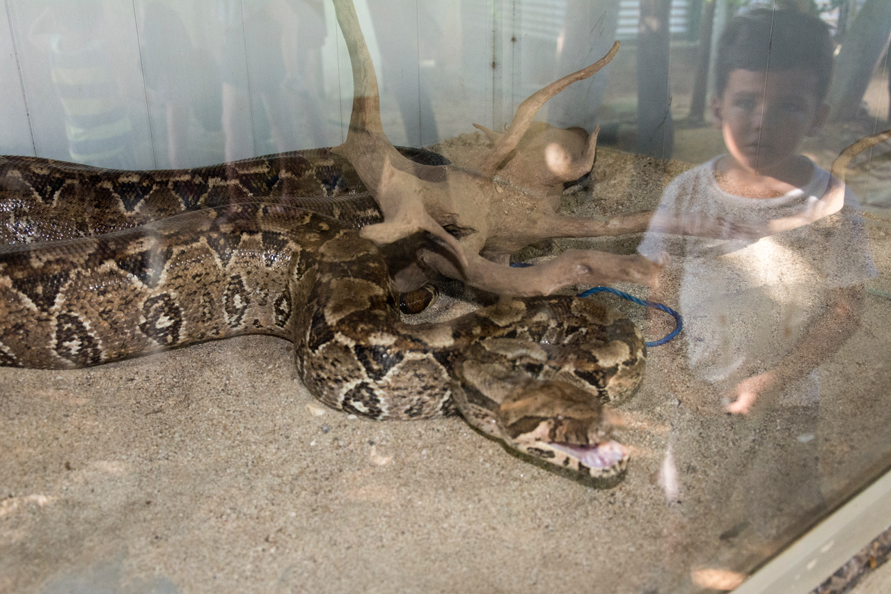 Fun for Kids in Puerto