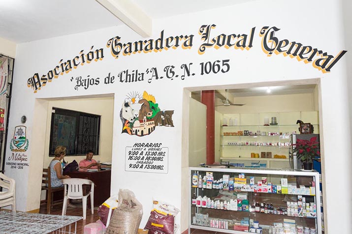 Photo: Ernesto J. Torres