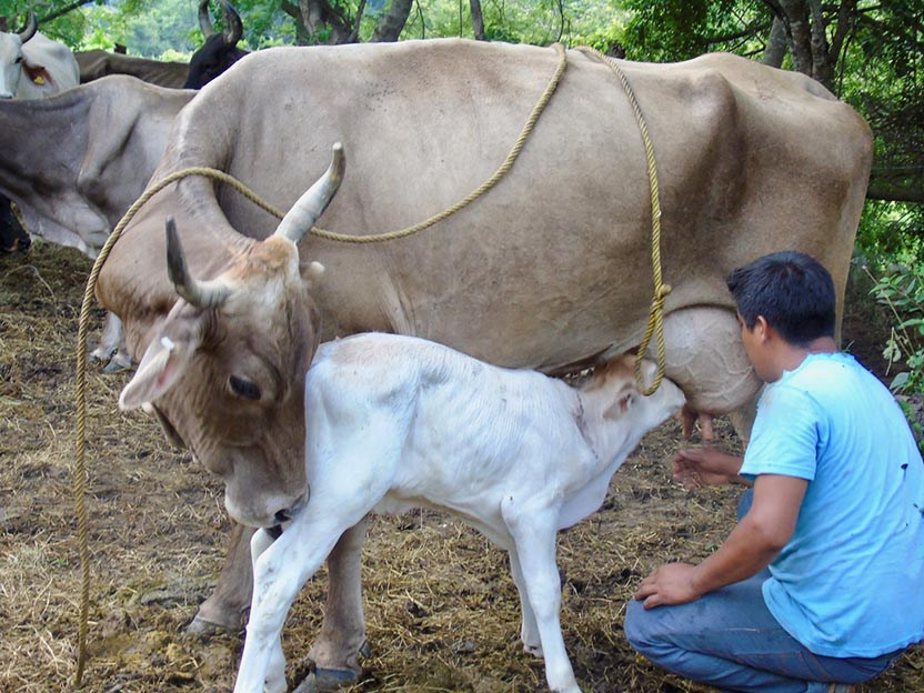 Photo: Ernesto J. Torres