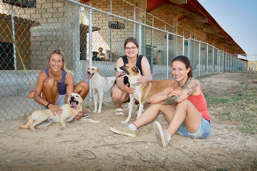 Volunteers.
Photo: Ernesto J. Torres