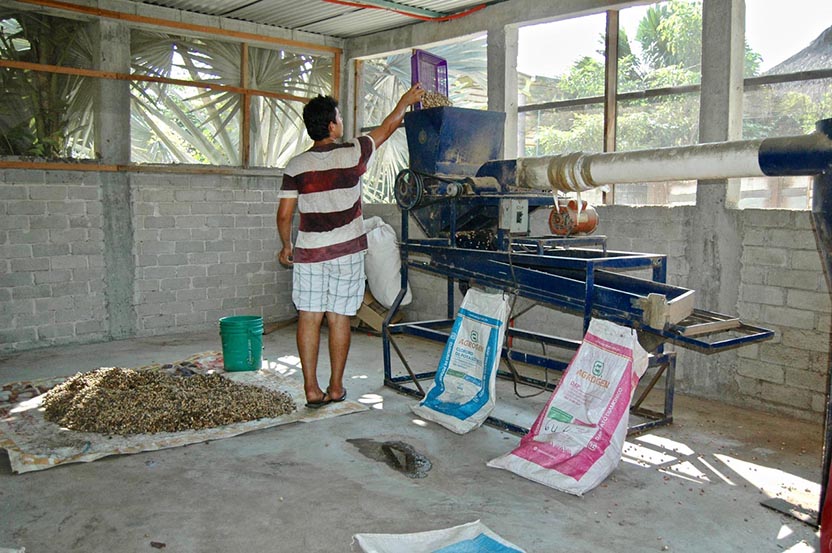 Restaurante. Foto: Barbara Joan Schaffer