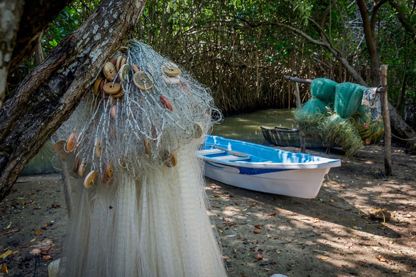 The Lagoons of Chacahua. Photo: Ernesto J. Torres