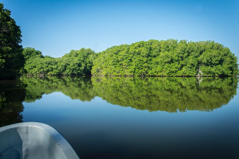 The Lagoons of Chacahua. Photo: Ernesto J. Torres