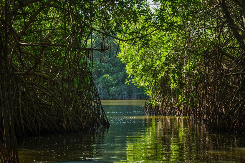 The Lagoons of Chacahua. Photo: Ernesto J. Torres