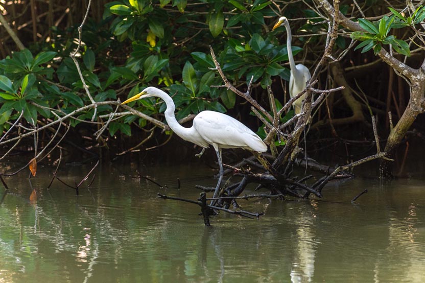 The Lagoons of Chacahua. Photo: Ernesto J. Torres