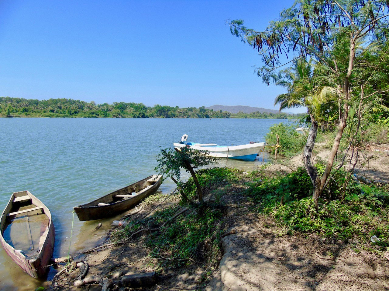 . Photo: Ernesto J. Torres