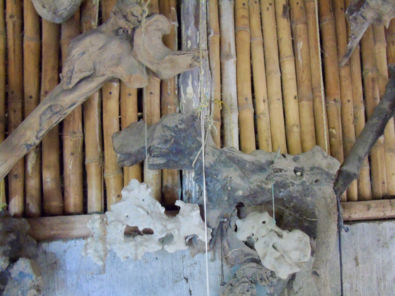 . Photo: Ernesto J. Torres