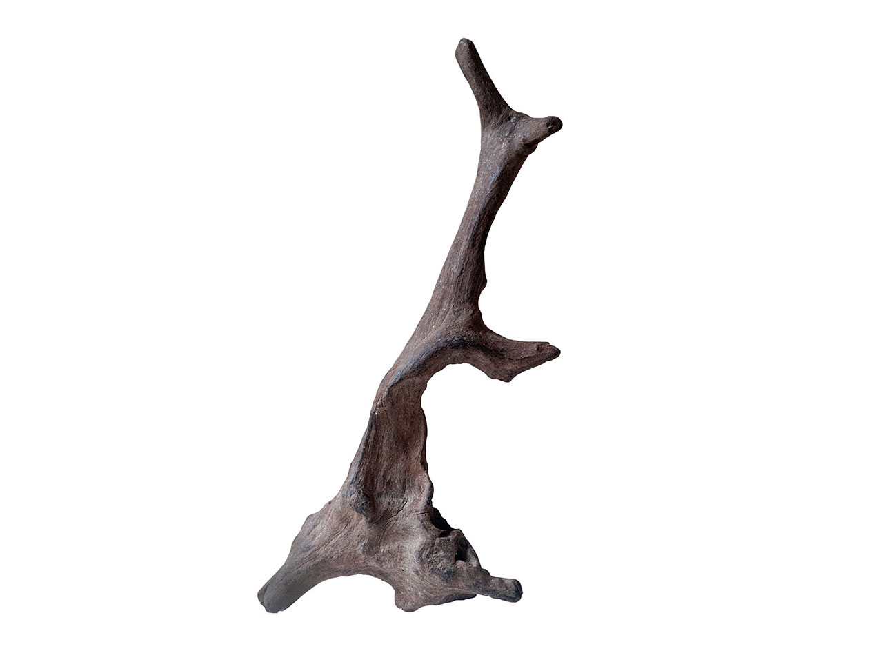 . Photo: Ernesto J. Torres