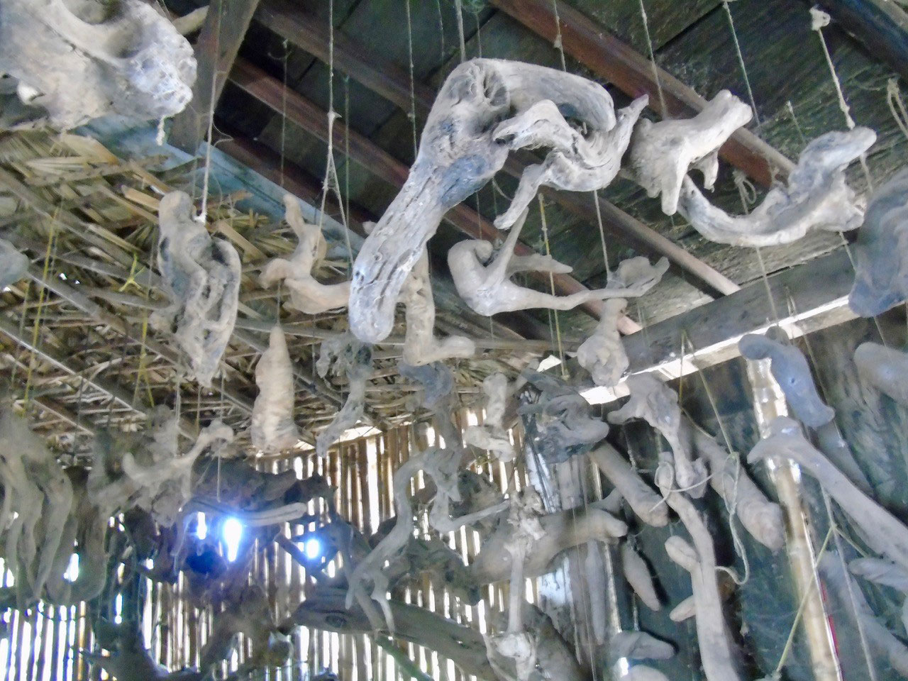 . Photo: Ernesto J. Torres