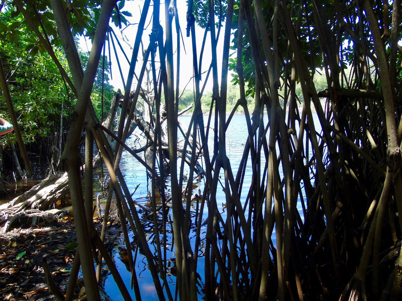 Playa Encomienda. Photo: Ernesto J. Torres