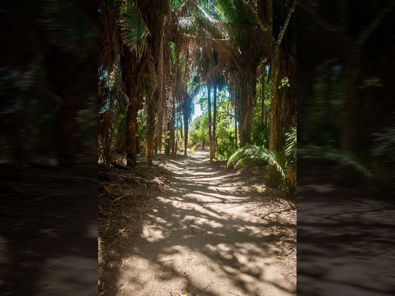 Playa Encomienda. Photo: Ernesto J. Torres