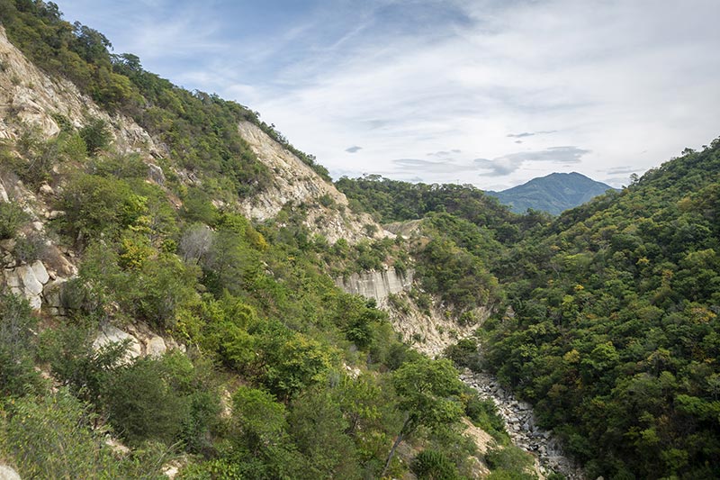 The Super Highway to Oaxaca: The Dream Goes On. Photo: Ernesto J. Torres