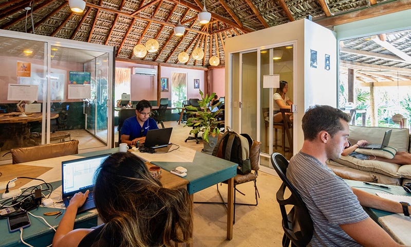 Digital nomads in October at Selina on Zicatela