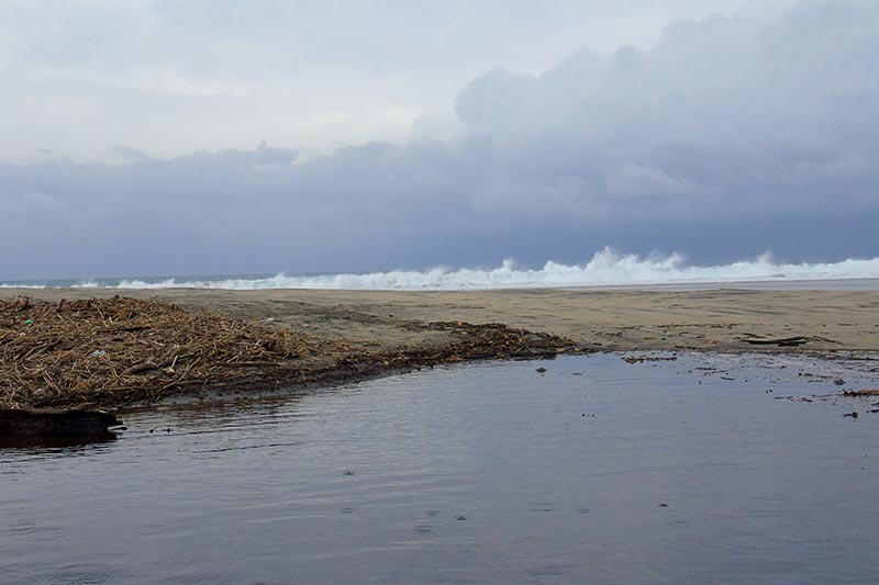 The Super Highway to Oaxaca: The Dream Goes On