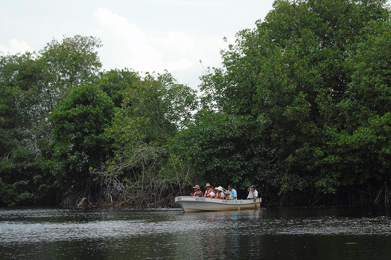 The Super Highway to Oaxaca: The Dream Goes On