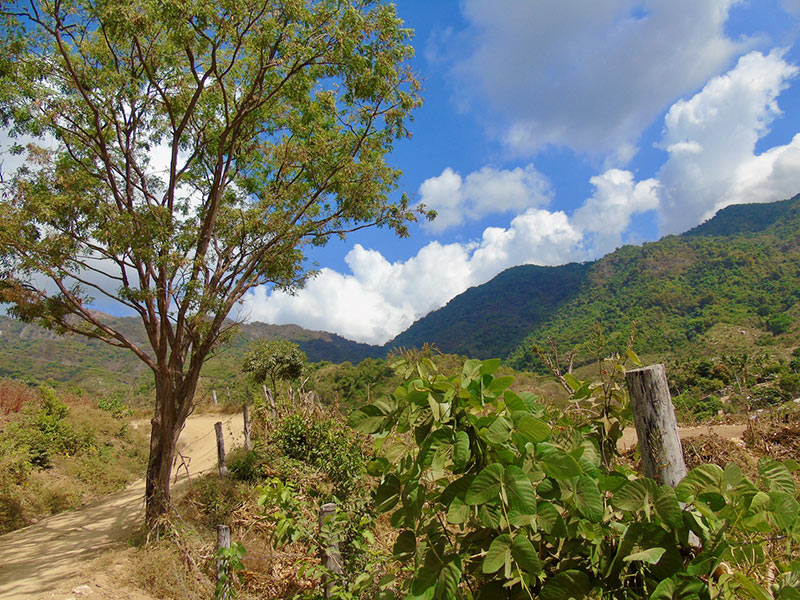 San Francisco Cozoaltepec. Foto: Ernesto J. Torres