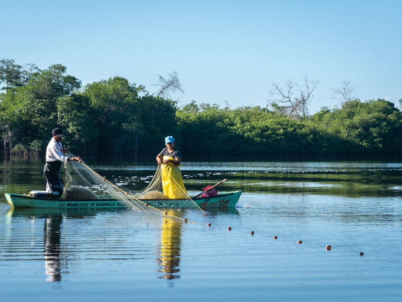 Morning in The Manialtepec Lagoon. Photo: Ernesto J. Torres
