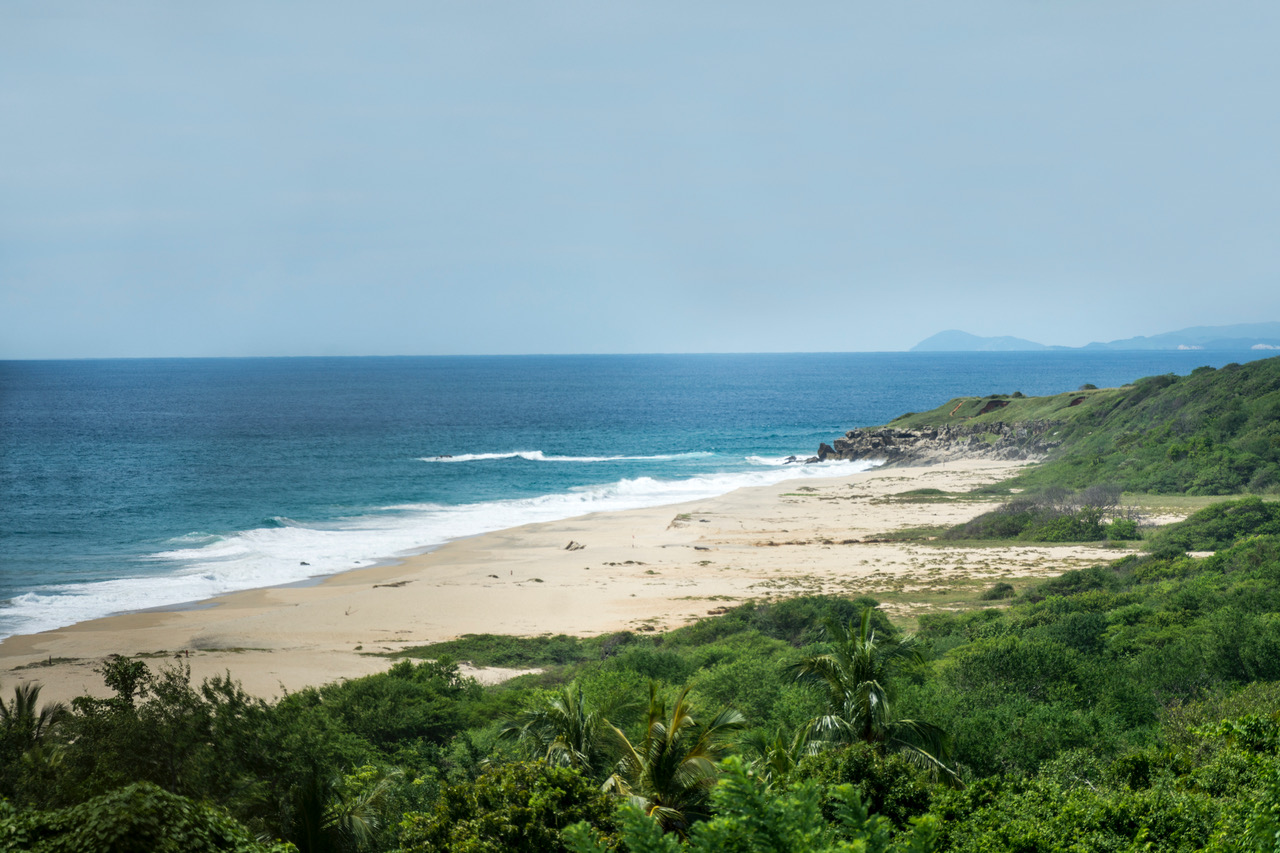 Punta Colorada. Here you can see the
virgin forest just as it was in Zicatela in the 1970s. Photo: Ernesto J. Torres
