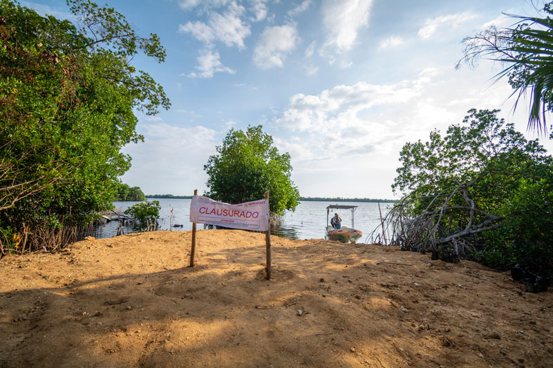 El Gallo, km 124, Hwy. 200, where the mangroves were cut.