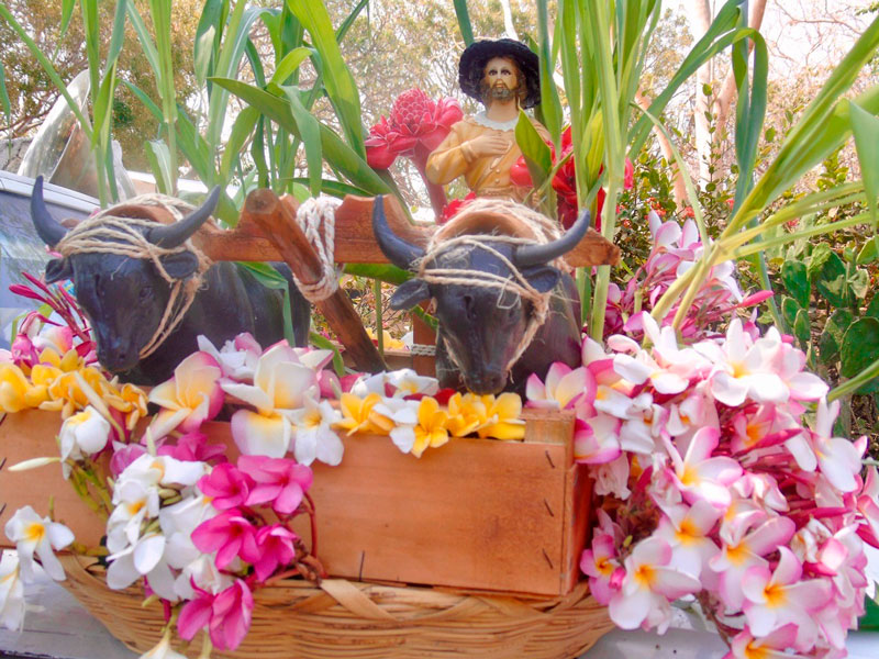 Convite en honor de San Isidro Labrador en colonia Guayavillera, el 13 de mayo 2022.