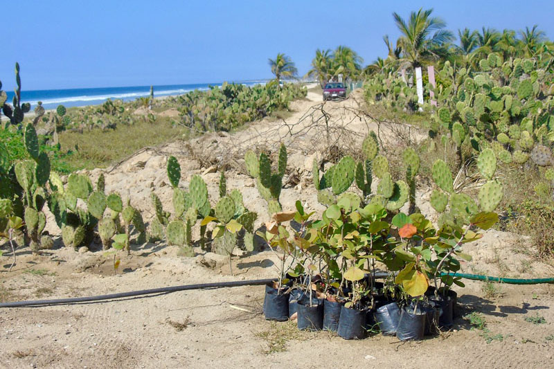 The boulevard ends here, near the pool.