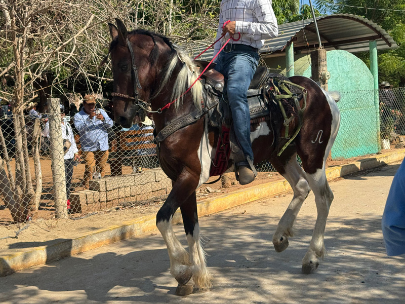 Barra de Colotepec 17/5/25