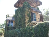 Buying Land in the Punta