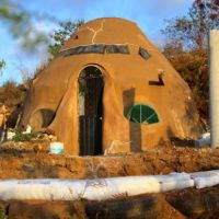 A Food Forest Grows In Colotepec